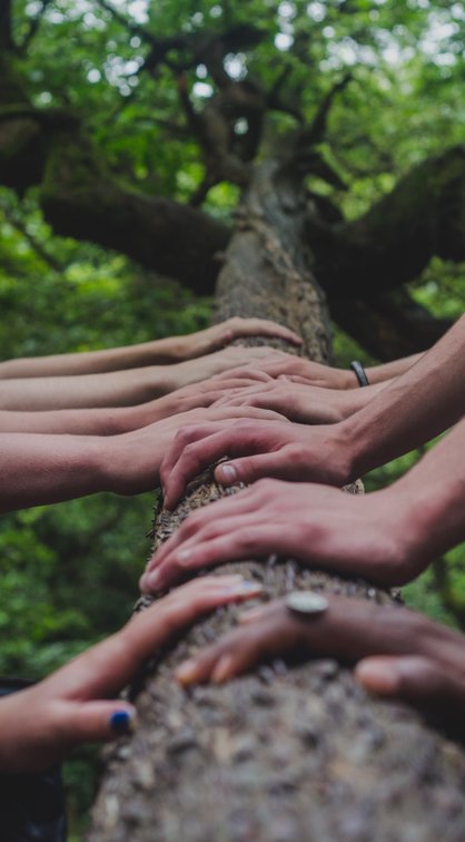 Hands together